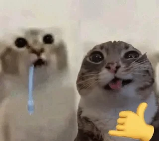 Sticker from drooling cat