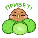 👋 emoji Птичка Киви @TgSticker Telegram sticker 11 of 27