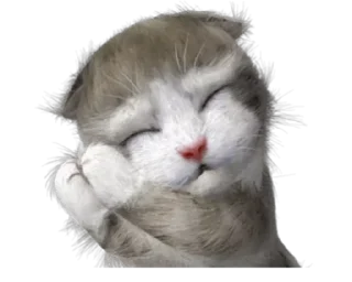 😊 emoji Bibi Telegram sticker 18 of 40