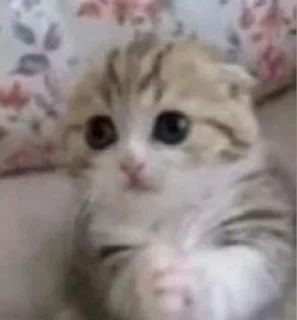 🤵‍♂ emoji рандомная поебота Telegram sticker 17 of 38