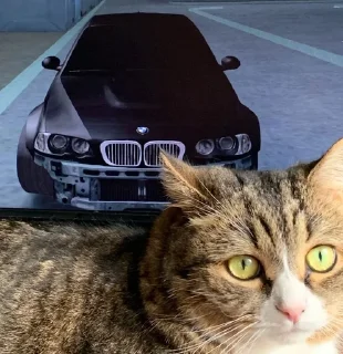 🚗 emoji рандомная поебота Telegram sticker 13 of 38