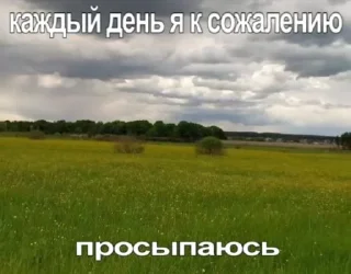 Sticker from Дара