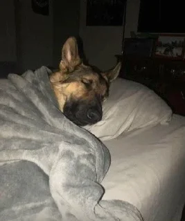 💤 emoji micro gsd Telegram sticker 13 of 35