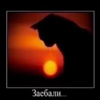 😒 emoji чурки заебали @churkistikers Telegram sticker 24 of 104