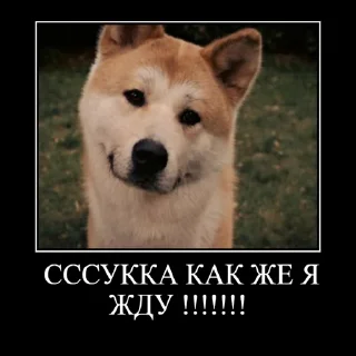 😓 emoji чурки заебали @churkistikers Telegram sticker 7 of 104