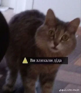 Sticker from резня