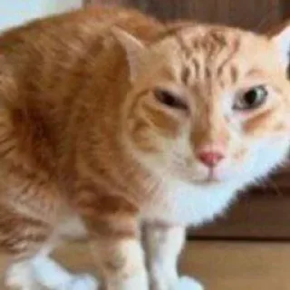 🤨 emoji еміля стікери 2.0 Telegram sticker 23 of 111