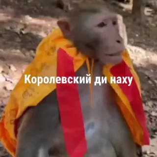 Sticker from Брадки от панана