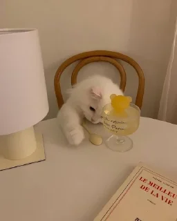 😻 emoji Lovely Telegram sticker 14 of 18