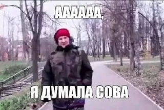 Sticker from Polino4kas memes