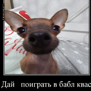 Sticker from Бебрик