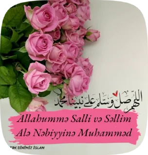 🌟 emoji @tekdinimizislam Telegram sticker 6 of 20