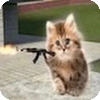 🐱 emoji Чта Telegram sticker 12 of 43
