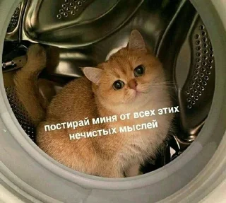 Sticker from На случай важных переговоров