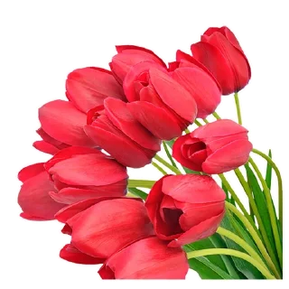 💐 emoji 8 марта :: @animesticks Telegram sticker 9 of 25