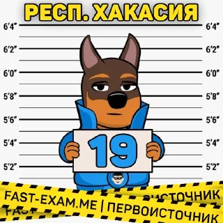 🇧🇿 emoji Все регионы @fast_exam Telegram sticker 22 of 84