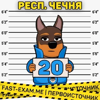 🇧🇾 emoji Все регионы @fast_exam Telegram sticker 23 of 84