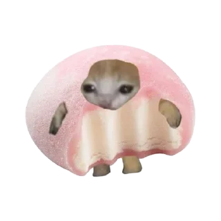 Sticker from кiт