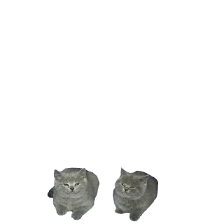 🤠 emoji Микрочелы @normajumleu Telegram sticker 19 of 30