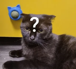 🌟 emoji Мушка и ее кенты Telegram sticker 9 of 65