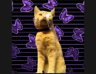 💜 emoji Касперина Telegram sticker 7 of 19
