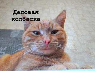 😎 emoji Касперина Telegram sticker 18 of 19