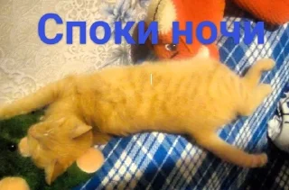 🌌 emoji Касперина Telegram sticker 14 of 19