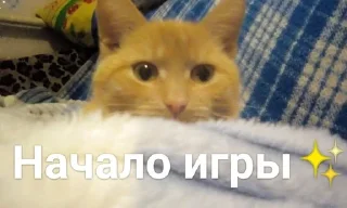 💓 emoji Касперина Telegram sticker 9 of 19