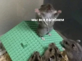 ⚰ emoji алга Telegram sticker 7 of 62