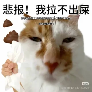 😭 emoji Chinese kakashki from @nzspr Telegram sticker 8 of 9