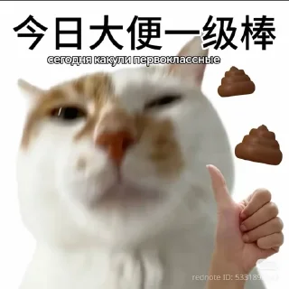 💩 emoji Chinese kakashki from @nzspr Telegram sticker 5 of 9