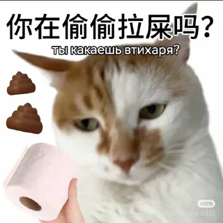 😍 emoji Chinese kakashki from @nzspr Telegram sticker 6 of 9