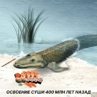 🌟 emoji Шизомемы @fStikBot Telegram sticker 11 of 75