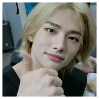 🙂 emoji hyunjin ♡ Telegram sticker 24 of 30