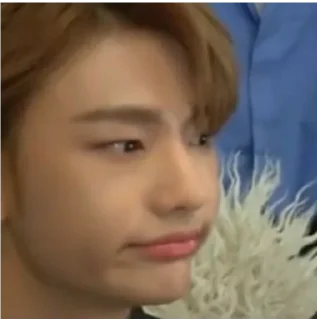 😑 emoji hyunjin ♡ Telegram sticker 23 of 30