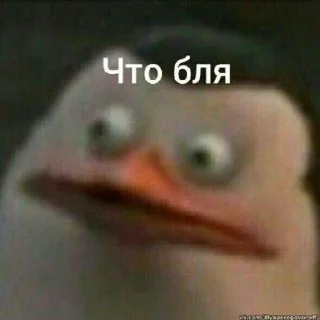 😐 emoji @Sjjwjsjdjsj от Тимурчика Telegram sticker 13 of 25