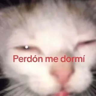 😴 emoji Маріо Сєкас❤️‍🔥 Telegram sticker 16 of 29