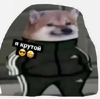 Sticker from Сабяки😩💞 (by @tayaays)