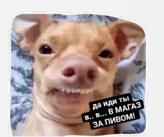 🤪 emoji Сабяки😩💞 (by @tayaays) Telegram sticker 6 of 18