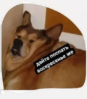 😣 emoji Сабяки😩💞 (by @tayaays) Telegram sticker 11 of 18