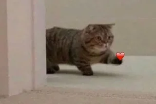 ❤ emoji 🥺💗 Telegram sticker 6 of 79