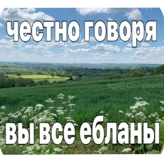 Sticker from Йомайо