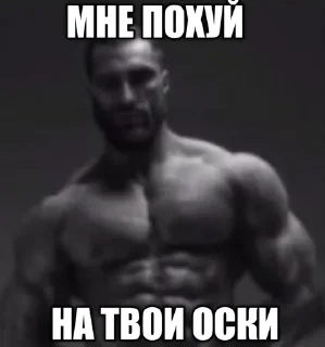 ❗️ emoji Гигачак от курседа Telegram sticker 9 of 52