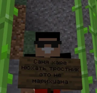 Sticker from Асташкин в минекрафт