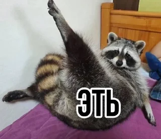 😏 emoji Еношки Бумбошки Telegram sticker 23 of 60