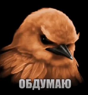 🌟 emoji Птицы Telegram sticker 13 of 120