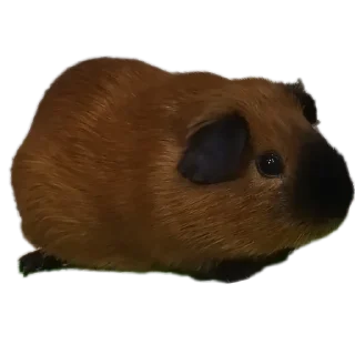 Sticker from Крутышки
