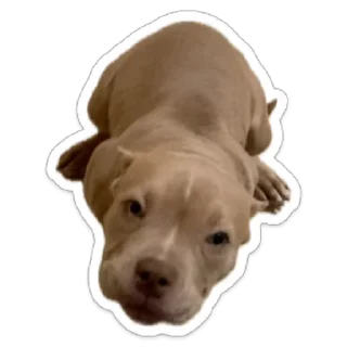 🙂 emoji KoLoBaKa Telegram sticker 6 of 9