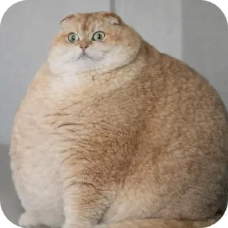 🐱 emoji БОЛЬШЕ ⇨ @CLOOBHUB МЕМЫ MEMES TG ТГ МАРВЕЛ MARVEL Telegram sticker 19 of 57