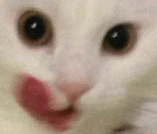 😍 emoji Pats’yk :: Telegram sticker 14 of 27